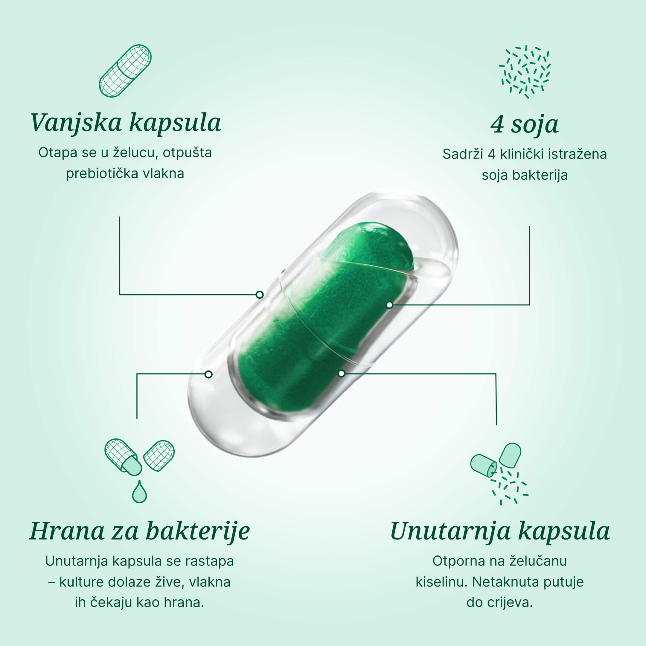 Rhowell + Duocap capsule